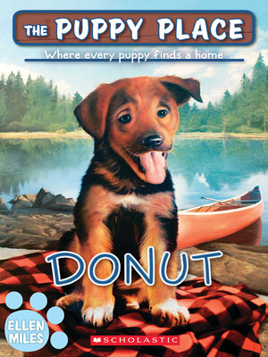 cover image of Donut